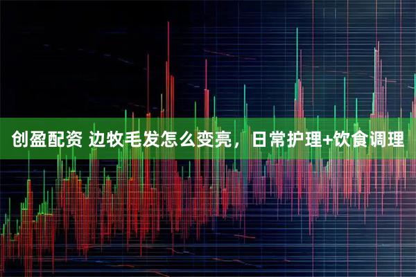 创盈配资 边牧毛发怎么变亮，日常护理+饮食调理
