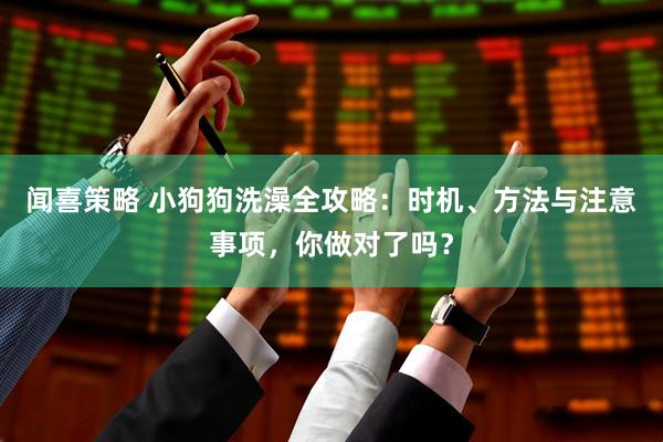 闻喜策略 小狗狗洗澡全攻略：时机、方法与注意事项，你做对了吗？