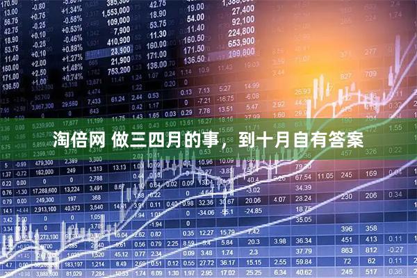 淘倍网 做三四月的事，到十月自有答案
