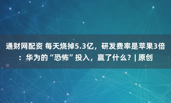 通财网配资 每天烧掉5.3亿，研发费率是苹果3倍：华为的“恐怖”投入，赢了什么？| 原创